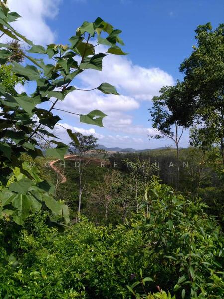 For Sale - Tanah bukit 3 ekar kuala pilah negeri sembilan