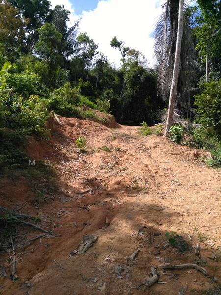 For Sale - Tanah bukit 3 ekar kuala pilah negeri sembilan