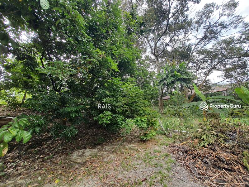 Agricultural Land for Sale in Kampung Sungai Penchala (Sungai Penchala) - RAIS . - PropertyGuru.com.my