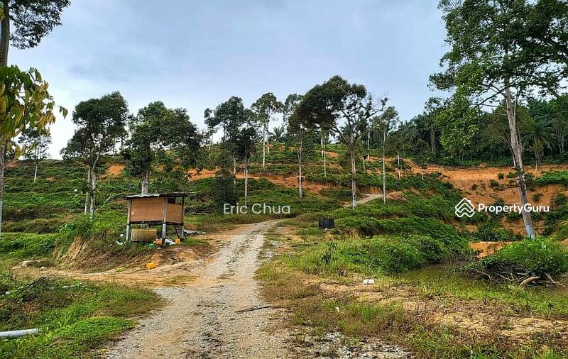 10 acres Durian Farm at Sungai Siput, Perak, 4.8980615,101.0458718