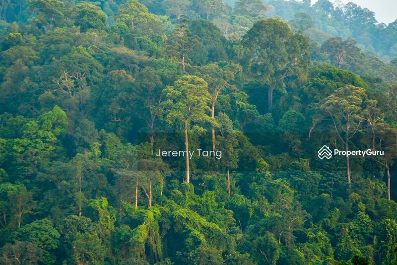 Untuk Dijual - Homestay Resort with Amazing Forest View and Open Access to Outdoors