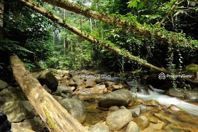 Untuk Dijual - Homestay Resort with Amazing Forest View and Open Access to Outdoors