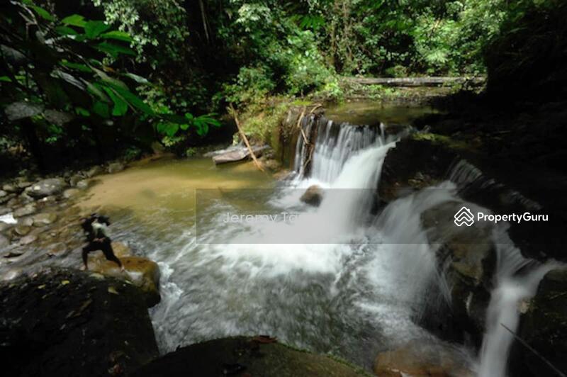 Untuk Dijual - Homestay Resort with Amazing Forest View and Open Access to Outdoors
