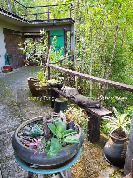 Untuk Dijual - Homestay Resort with Amazing Forest View and Open Access to Outdoors