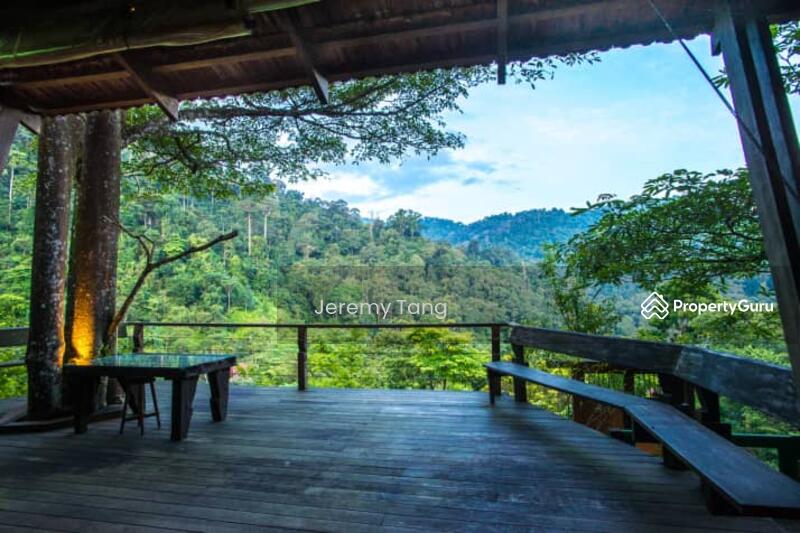Untuk Dijual - Homestay Resort with Amazing Forest View and Open Access to Outdoors