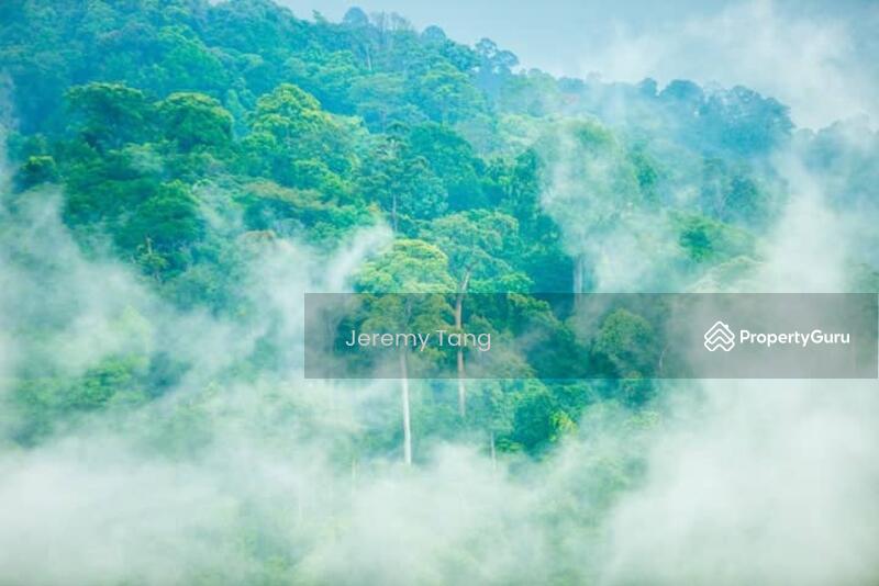 Untuk Dijual - Homestay Resort with Amazing Forest View and Open Access to Outdoors