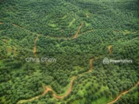 For Sale - Jelai, Batu Kurau, Taiping