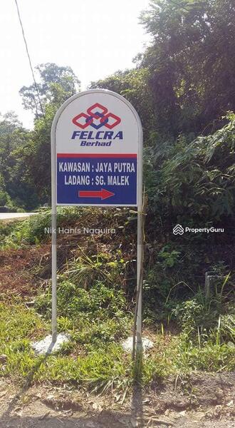 Agricultural Land for Sale in Jerantut (Pahang) - Nik Hanis Naquira - PropertyGuru.com.my