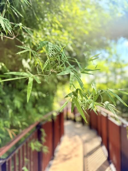 Untuk Dijual - Aurora Resort Villas