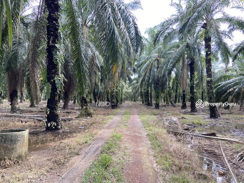 Housing Development Land 8640 Parit Raja, Jalan Parit Lapis Semarang