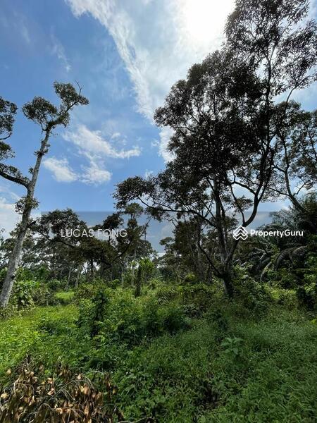 For Sale - Tanah Hitam Chemor Perak Durian Orchard Land