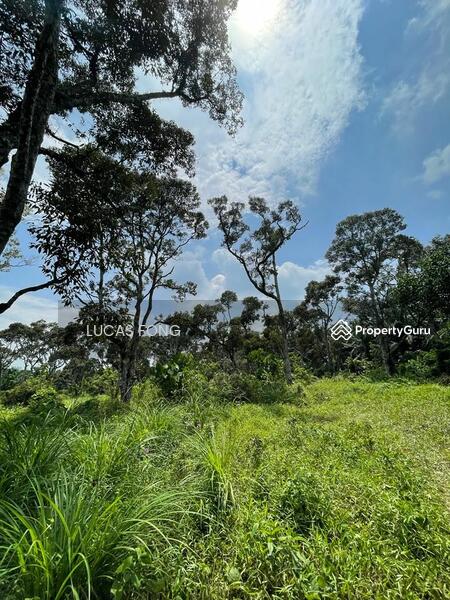 For Sale - Tanah Hitam Chemor Perak Durian Orchard Land