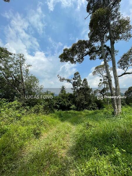 For Sale - Tanah Hitam Chemor Perak Durian Orchard Land