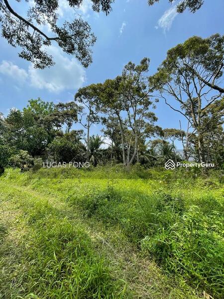 For Sale - Tanah Hitam Chemor Perak Durian Orchard Land