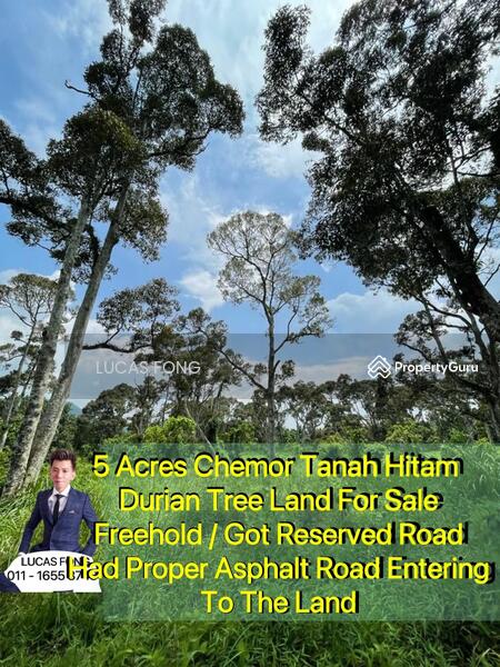 For Sale - Tanah Hitam Chemor Perak Durian Orchard Land