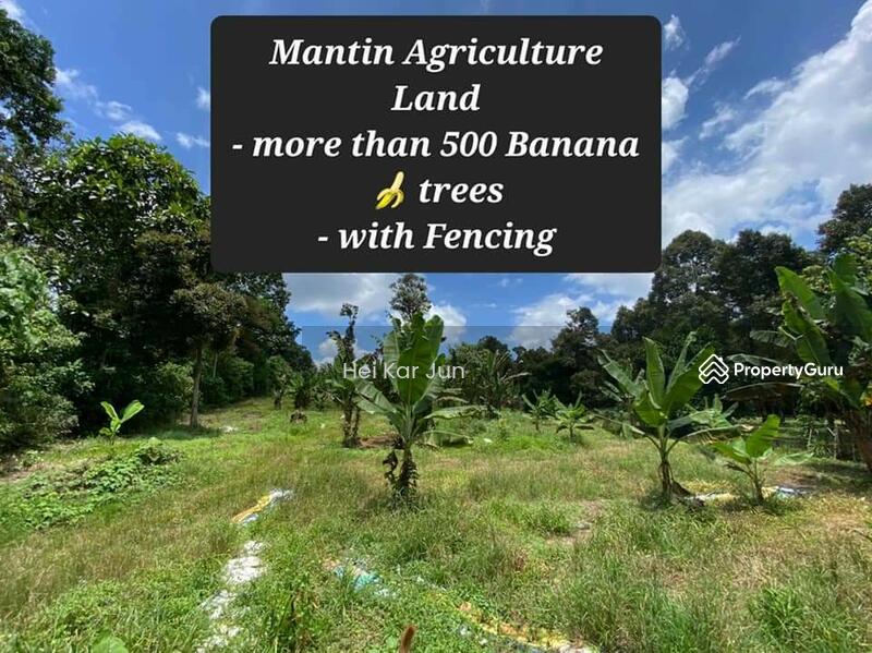 Mantin agriculture land, Mantin Agriculture land, Mantin, Negeri