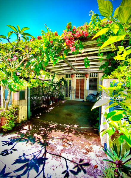 Untuk Dijual - Townhouse on College Square (Medan Maktab) in Pulau Tikus.