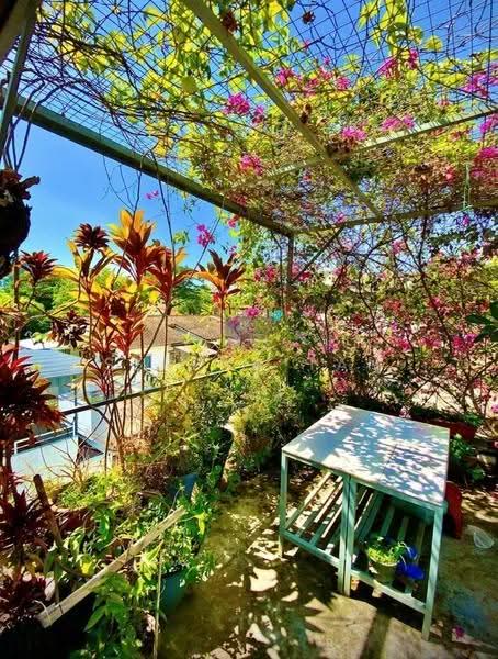 Townhouse for Sale in Pulau Tikus (Penang) - Serena Tan - Balcony - PropertyGuru.com.my