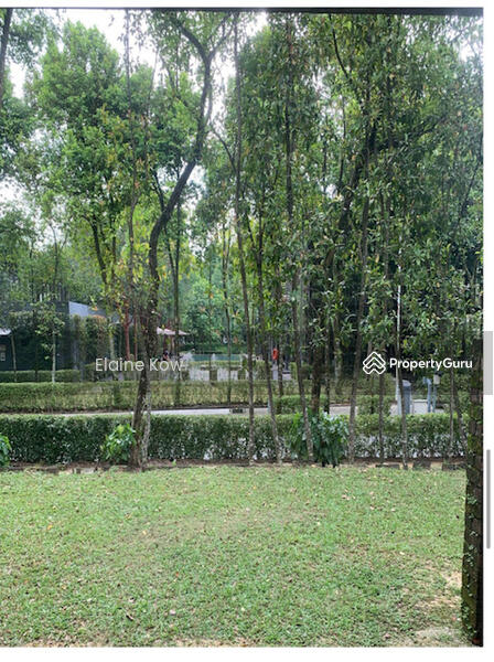 For Sale - Seri Pilmoor