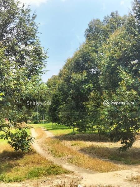 Agricultural Land for Sale in Raub (Pahang) - Shirley Sai - PropertyGuru.com.my