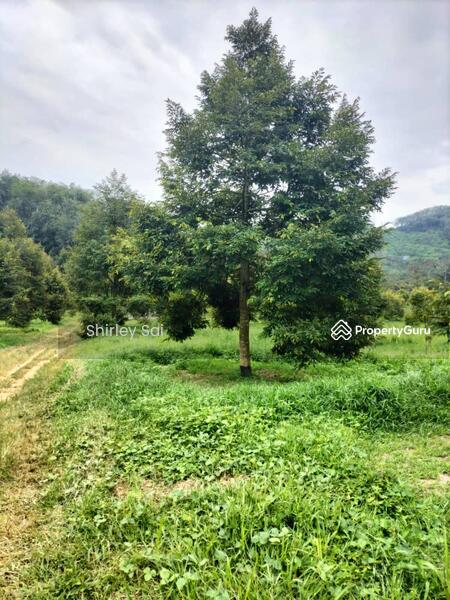 Agricultural Land for Sale in Raub (Pahang) - Shirley Sai - PropertyGuru.com.my