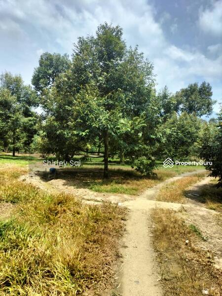 Agricultural Land for Sale in Raub (Pahang) - Shirley Sai - PropertyGuru.com.my