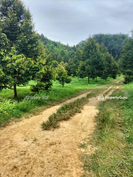 Agricultural Land for Sale in Raub (Pahang) - Shirley Sai - PropertyGuru.com.my