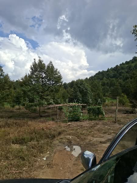 Tanah Pertanian untuk Dijual di Raub (Pahang) - Shirley Sai - PropertyGuru.com.my