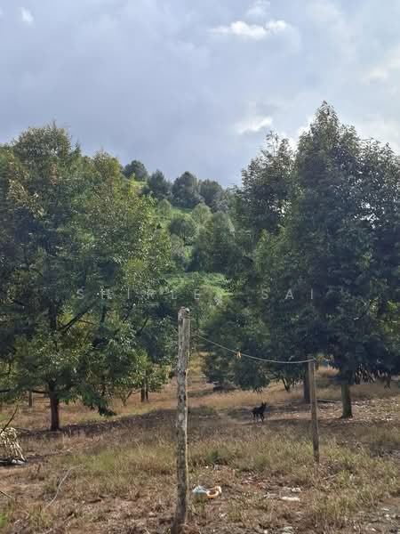 Tanah Pertanian untuk Dijual di Raub (Pahang) - Shirley Sai - PropertyGuru.com.my