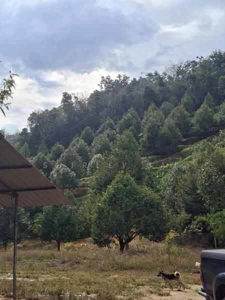 Tanah Pertanian untuk Dijual di Raub (Pahang) - Shirley Sai - PropertyGuru.com.my