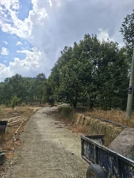 Tanah Pertanian untuk Dijual di Raub (Pahang) - Shirley Sai - PropertyGuru.com.my
