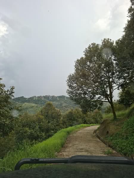 Tanah Pertanian untuk Dijual di Raub (Pahang) - Shirley Sai - PropertyGuru.com.my