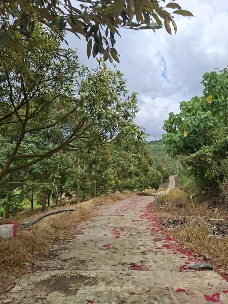 Tanah Pertanian untuk Dijual di Raub (Pahang) - Shirley Sai - PropertyGuru.com.my