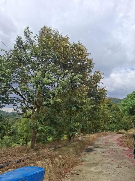 Tanah Pertanian untuk Dijual di Raub (Pahang) - Shirley Sai - PropertyGuru.com.my
