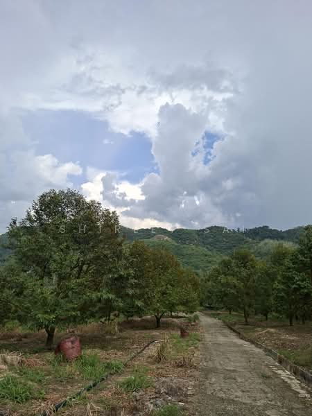 Tanah Pertanian untuk Dijual di Raub (Pahang) - Shirley Sai - PropertyGuru.com.my