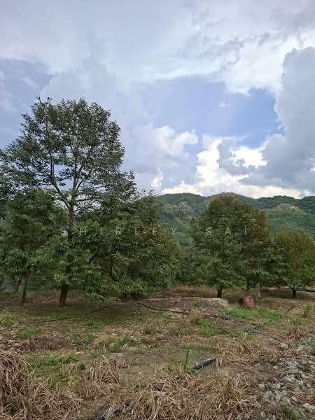 Tanah Pertanian untuk Dijual di Raub (Pahang) - Shirley Sai - PropertyGuru.com.my