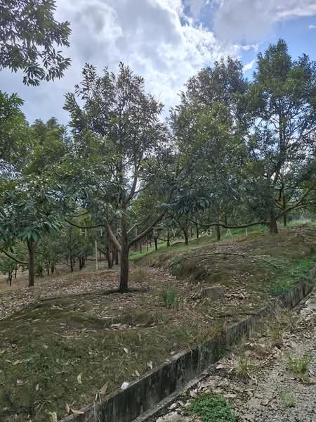 Tanah Pertanian untuk Dijual di Raub (Pahang) - Shirley Sai - PropertyGuru.com.my