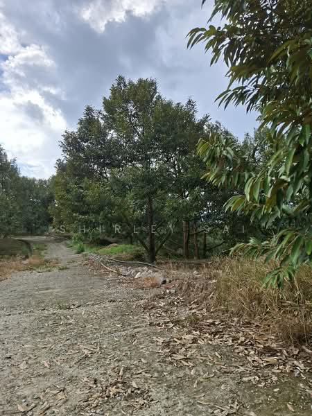 Tanah Pertanian untuk Dijual di Raub (Pahang) - Shirley Sai - PropertyGuru.com.my