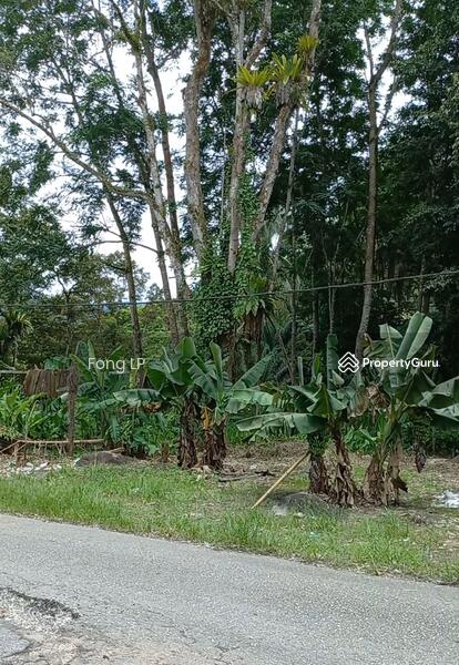 Untuk Dijual - Freehold land at Batang Padang, Tapah, Perak