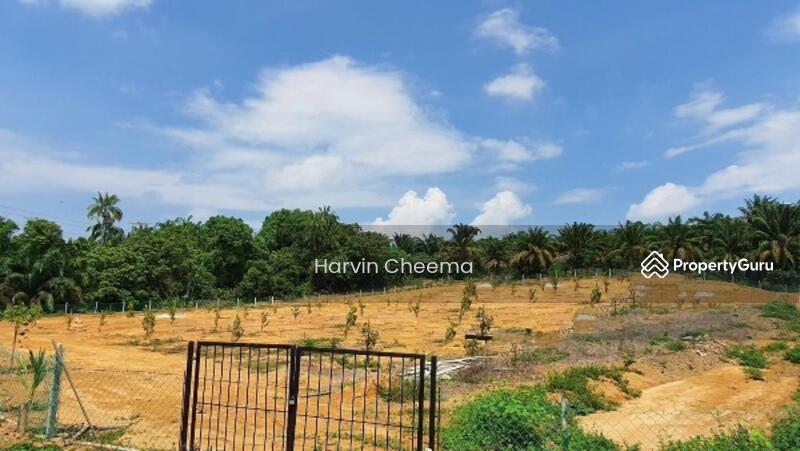 Agricultural Land for Sale in Port Dickson (Negeri Sembilan) - Harvin Cheema - PropertyGuru.com.my