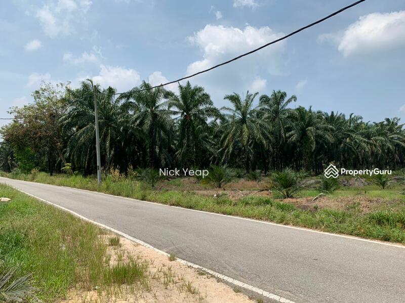 Ijok Industrial Zoning Land Freehold, Jalan Bukit Badong, Kuala