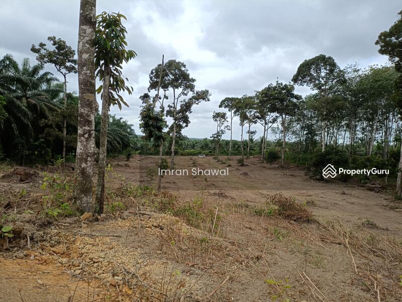 For Sale - parit semo