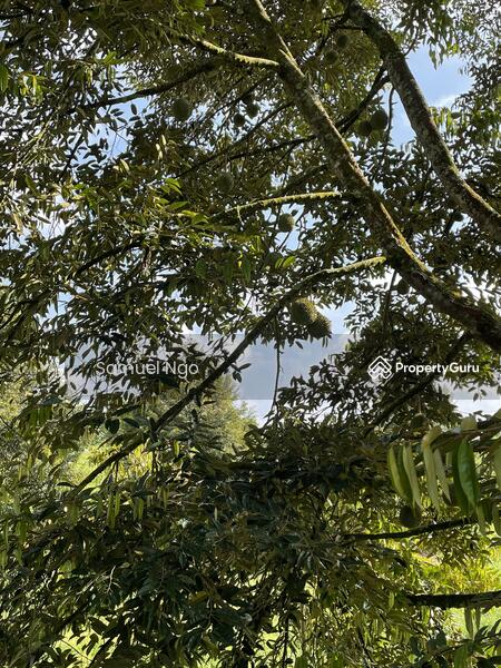Agricultural Land for Sale in Taman Kulai (Kulai) - Samuel Ngo - PropertyGuru.com.my