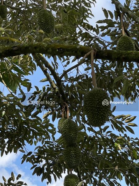 Agricultural Land for Sale in Taman Kulai (Kulai) - Samuel Ngo - PropertyGuru.com.my