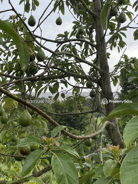 Agricultural Land for Sale in Taman Kulai (Kulai) - Samuel Ngo - PropertyGuru.com.my