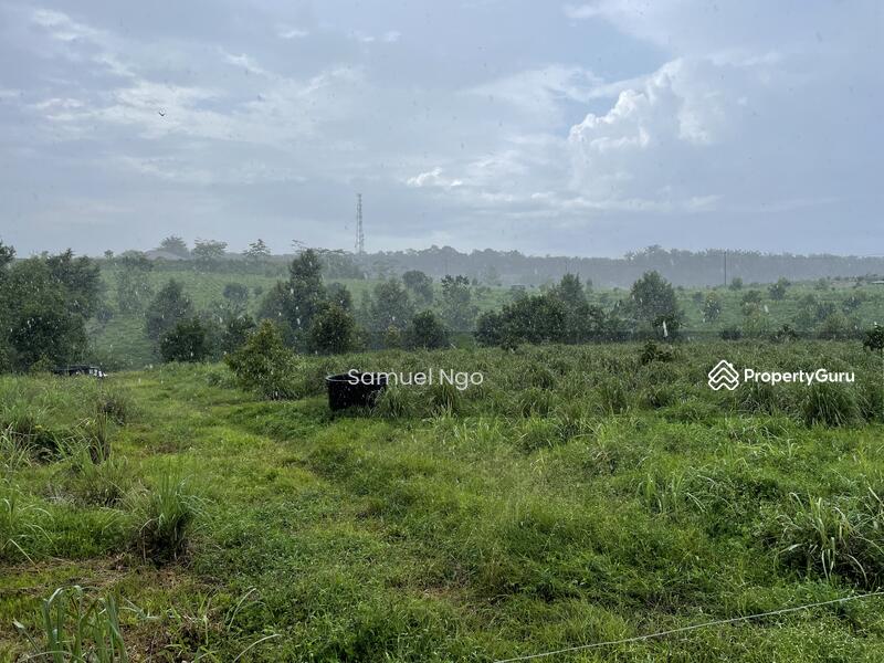 Agricultural Land for Sale in Taman Kulai (Kulai) - Samuel Ngo - PropertyGuru.com.my