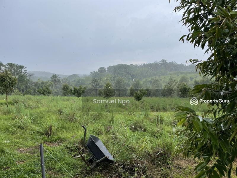 Agricultural Land for Sale in Taman Kulai (Kulai) - Samuel Ngo - PropertyGuru.com.my