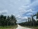 Agriculture Land, Layang-layang, Kluang