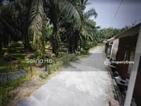For Sale - Oil Palm Land For Development in Labis, Segamat Johor Housing Area