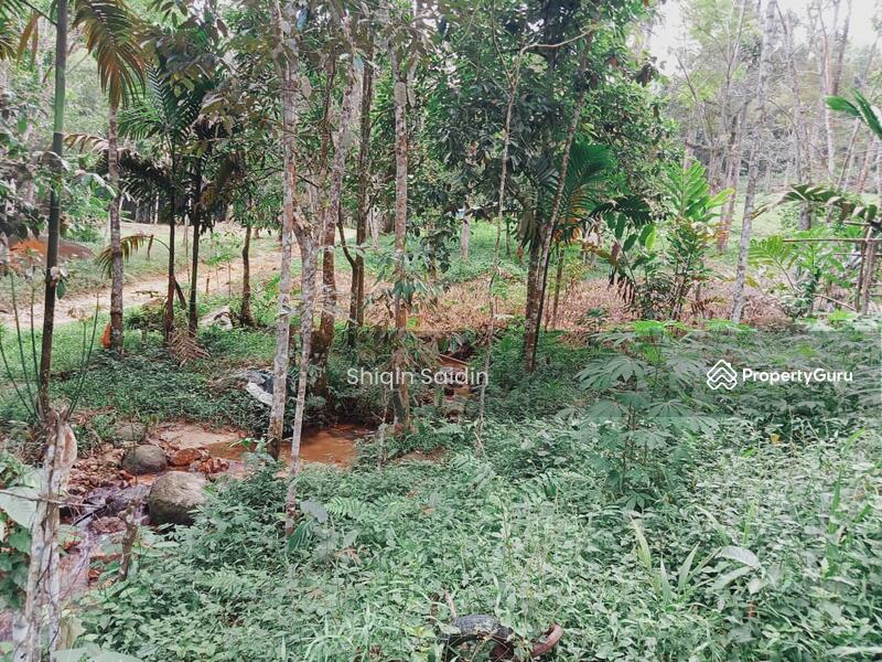 Agricultural Land for Sale in Rawang (Selangor) - Shiqin Saidin - PropertyGuru.com.my